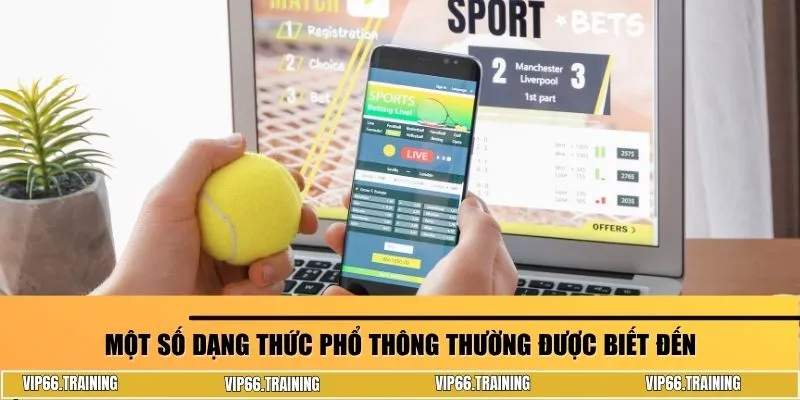 Một số dạng thức phổ thông thường được biết đến